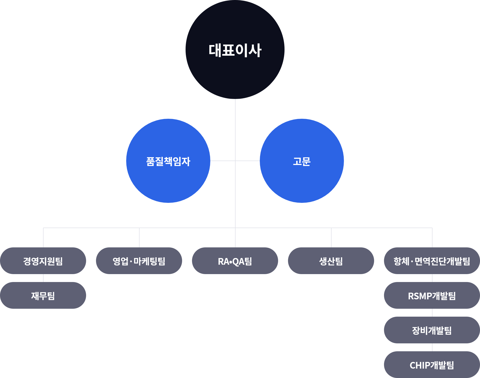 이지다이아텍 조직도